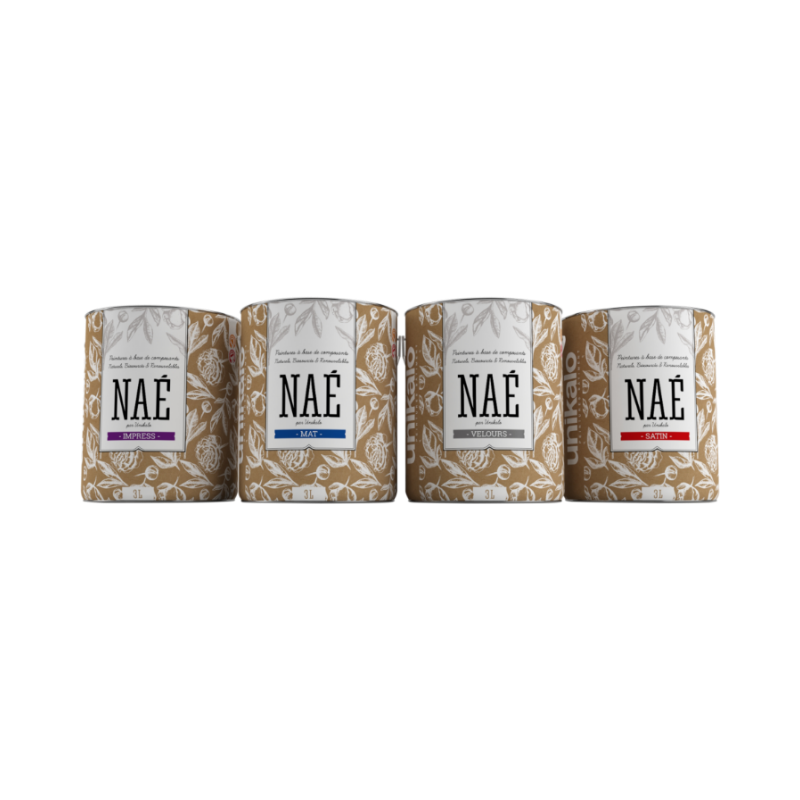 Le rôle du carbone biogénique dans les peintures Naé